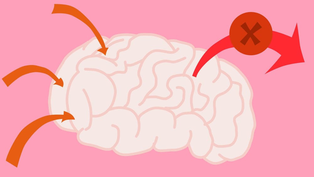 Spaced Repetition for Infinite Memory